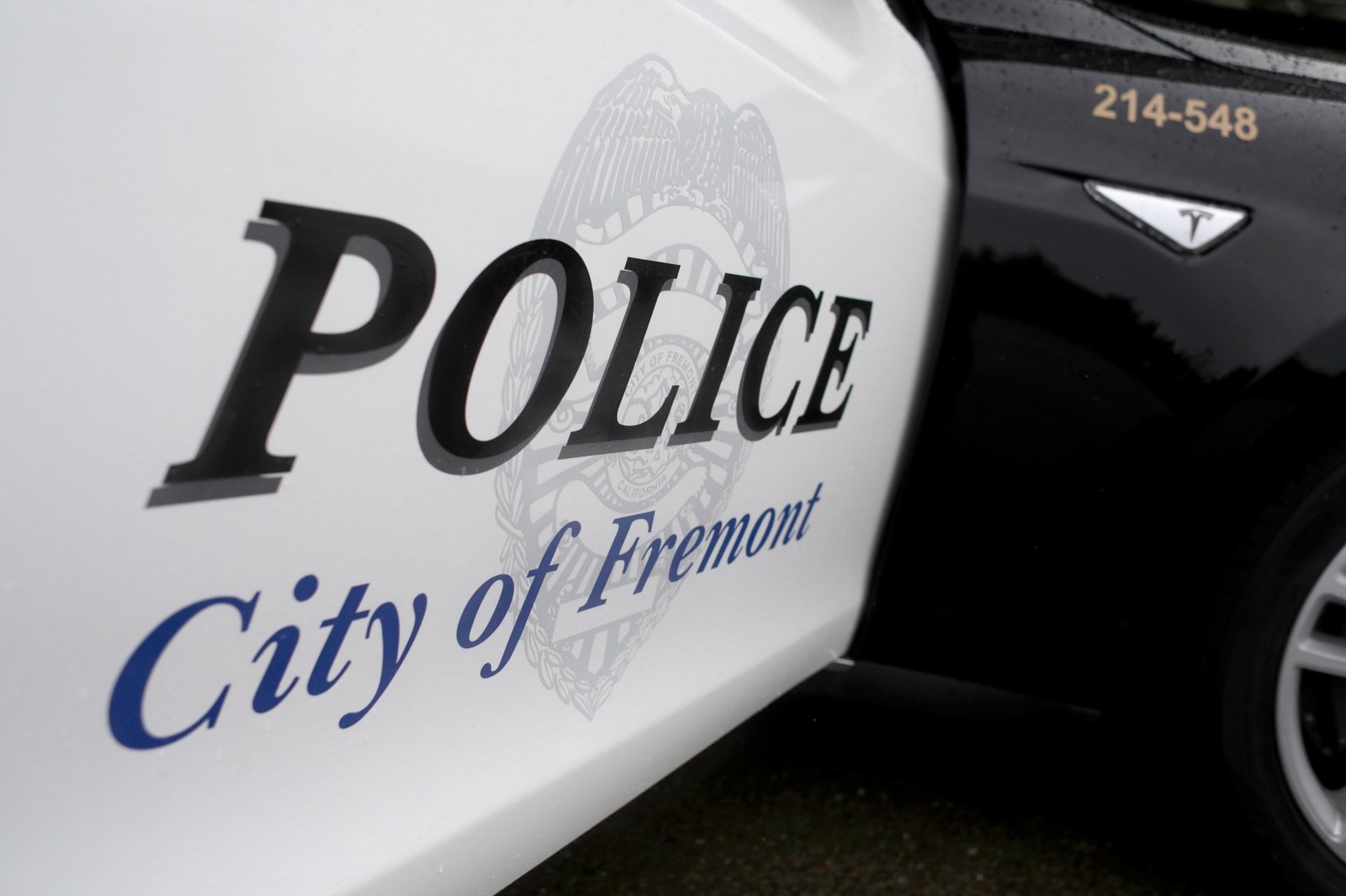 Police Raid Uncovers Weapons and Multi-Pound Quantities of Treatment in Fremont